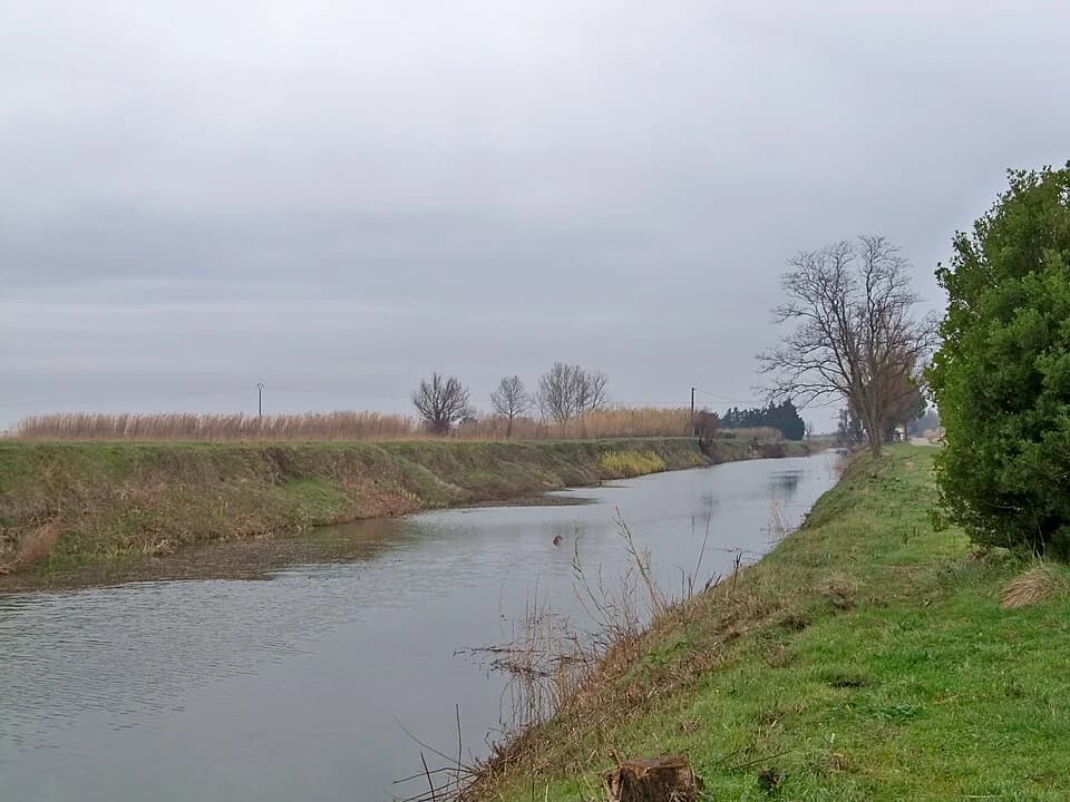 Vue du secteur du départ de « ARLES - Sur le sentier du Pont de Rousty » : Canal de Rousty 1.jpg