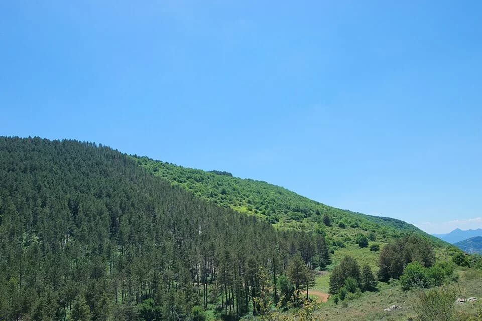 Vue du secteur du départ de « Le col de la Pierre Plantée » : Montagne de la Fage et ses forêts domaniales.jpg