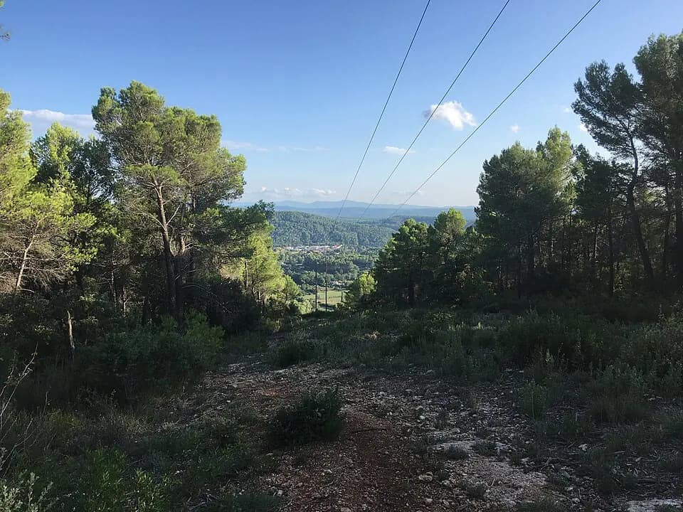 Vue du secteur du départ de « VILLECROZE - Boucle au-dessus du Domaine de Valcolombe » : Sentier domaine Valcolombe 5.jpg