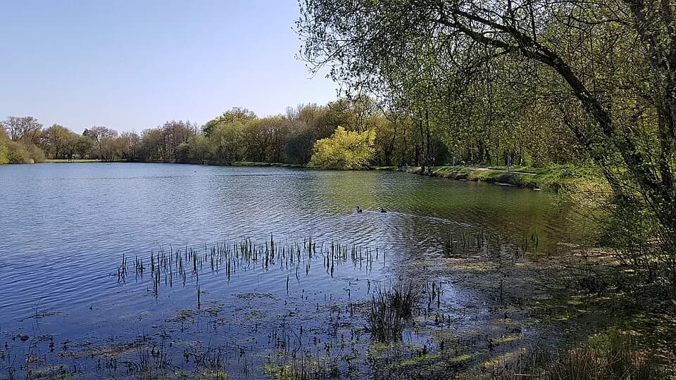 Photo du secteur de « SAINTE LUCE SUR LOIRE : circuit de Bellevue » : Lac du Plessis, Sainte-Luce-sur-Loire - 05.jpg