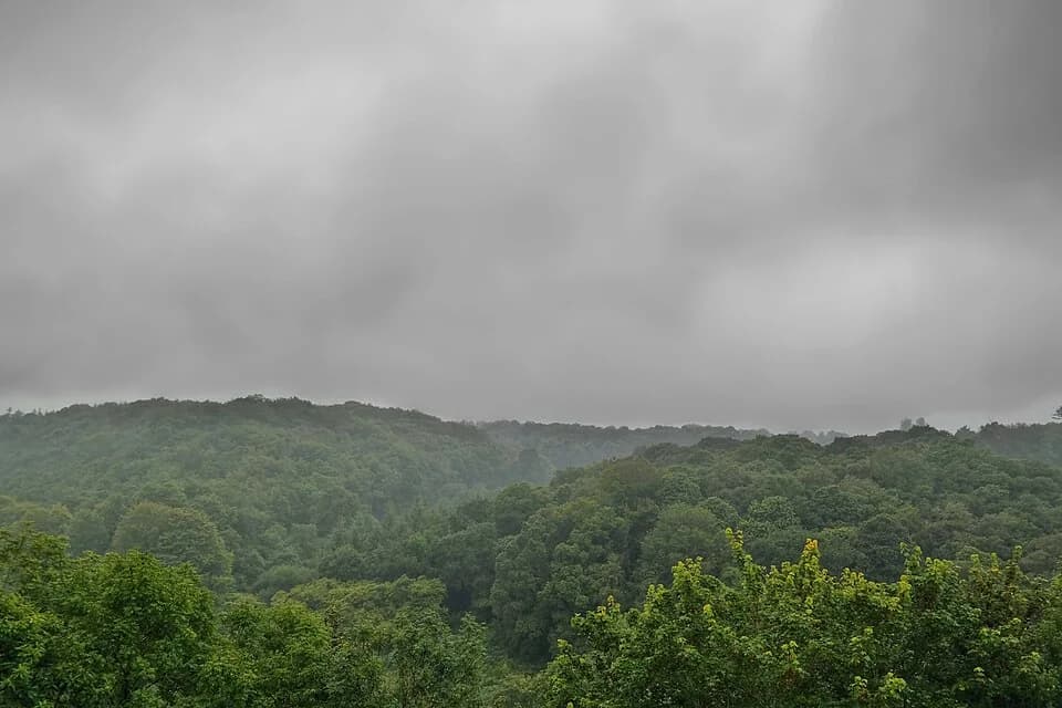 Photo du secteur de « La boucle du Rocleu » : French Forest In The Mist (14711716627).jpg