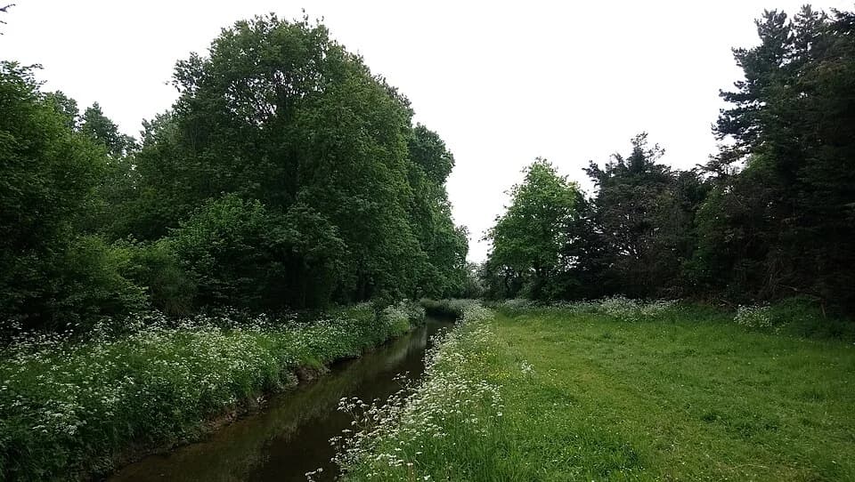 Photo du secteur de « DÉCOUVERTES ET BALADE NATURE À L'ÉTANG DE LA PROVOSTIÈRE - RIAILLÉ » : W2951 Riaille Provostiere CanalAlimentaire 1321XA1.jpg
