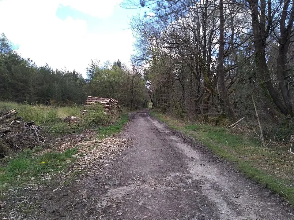 Photo du secteur de « Circuit des voies romaines - Bois d'Avaugour » : Lanrodec - Forêt d'Avaugour et bois Meur 02.jpg