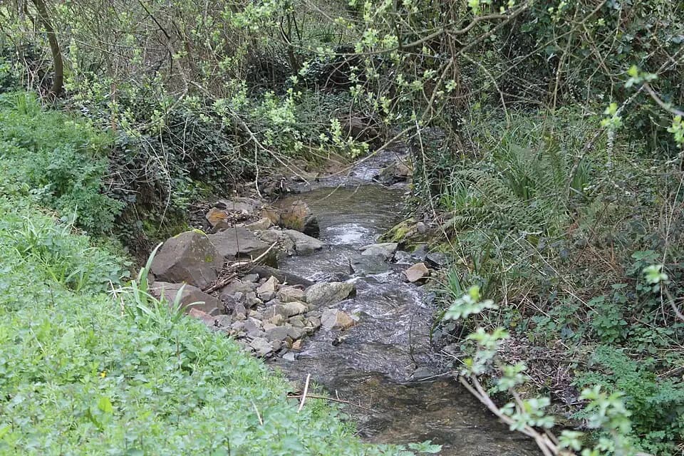 Photo du secteur de « Entre grèves et prés » : Langueux - Vallée de Boutdeville (ruisseau) 04.jpg
