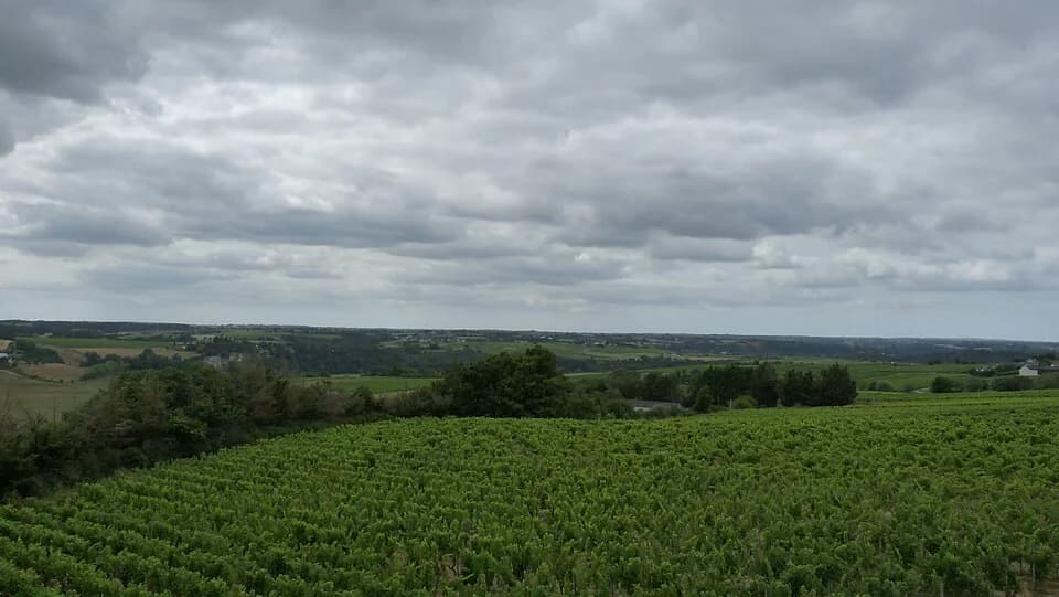 Photo du secteur de « Circuit n°2 de Saint Aubin de Luigné » : Saint-Aubin-de-Luigné (49) Panorama depuis le Moulin Guérin - 03.jpg