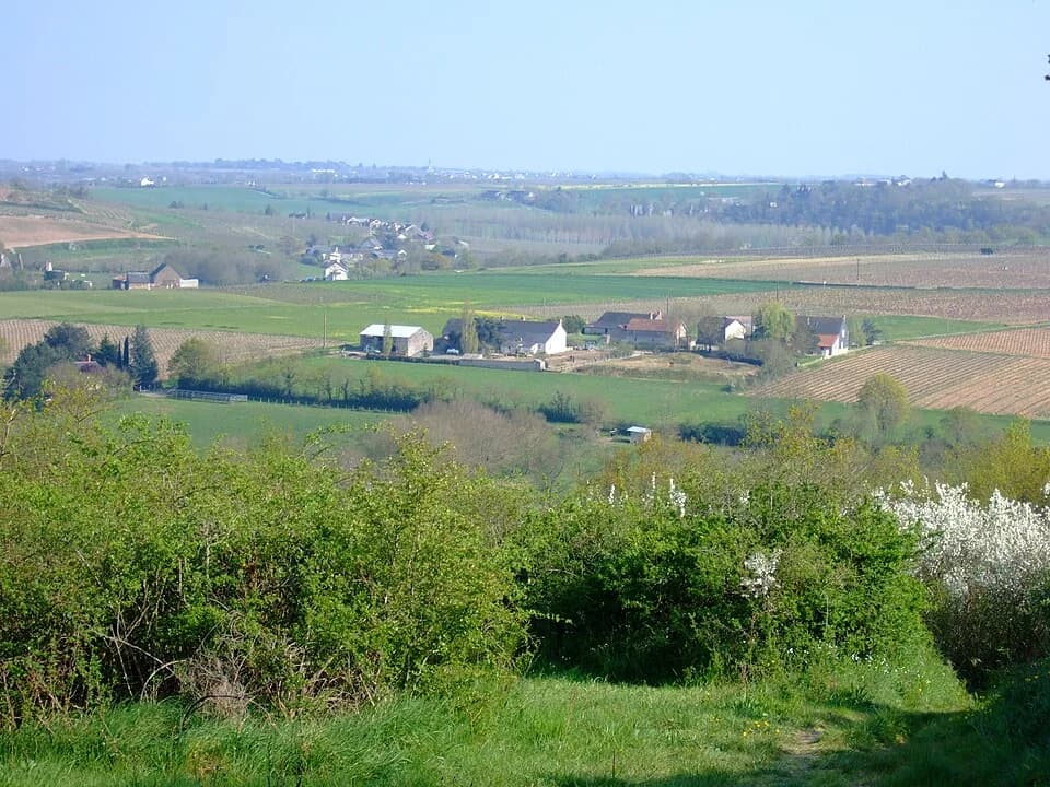 Photo du secteur de « Circuit de Chaudefonds / Layon-GR3 » : ChaudefondsSurLayon.jpg