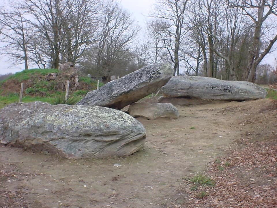 Photo du secteur de « CHAUVE : Circuit des Menhirs » : Les platennes partie Ouest vue Sud.JPG