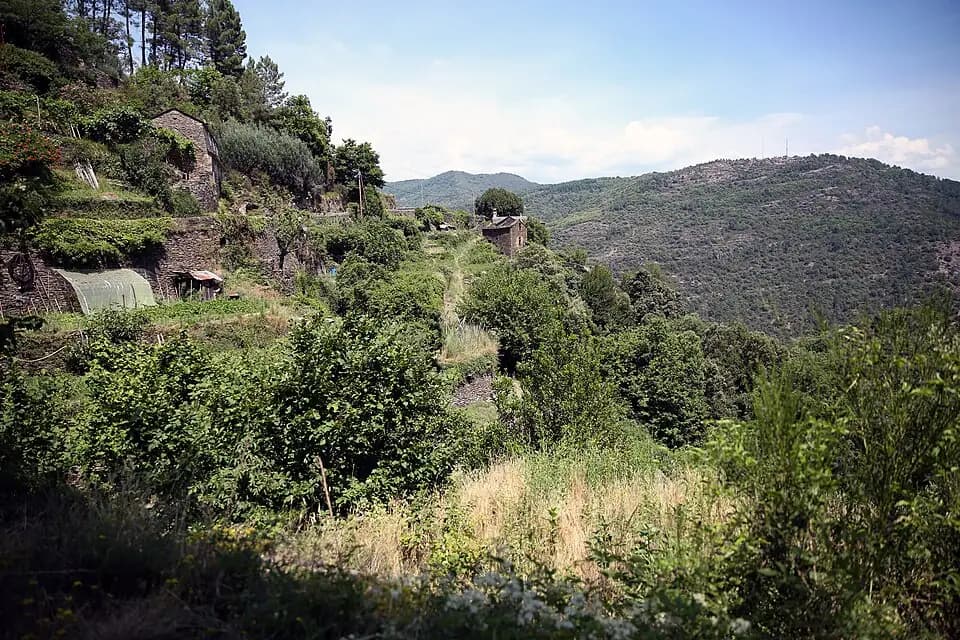 Photo du secteur de « La Flandonenque » : Les faïsses au dessus de Saint-Germain.JPG