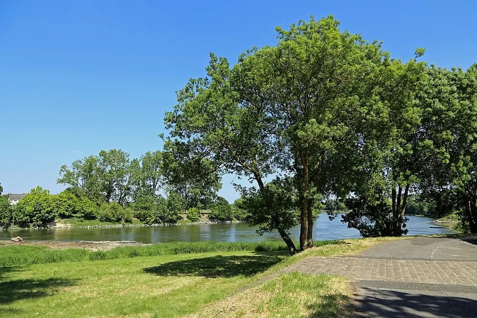 Photo du secteur de « Circuit de la Loire au Louet » : Loire Chalonnes R02.jpg