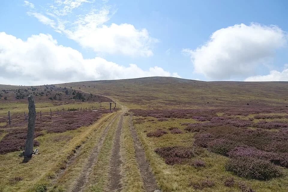 Photo du secteur de « Sommet de Finiels » : Montée MontLozère venant-du-Bleymard.jpg