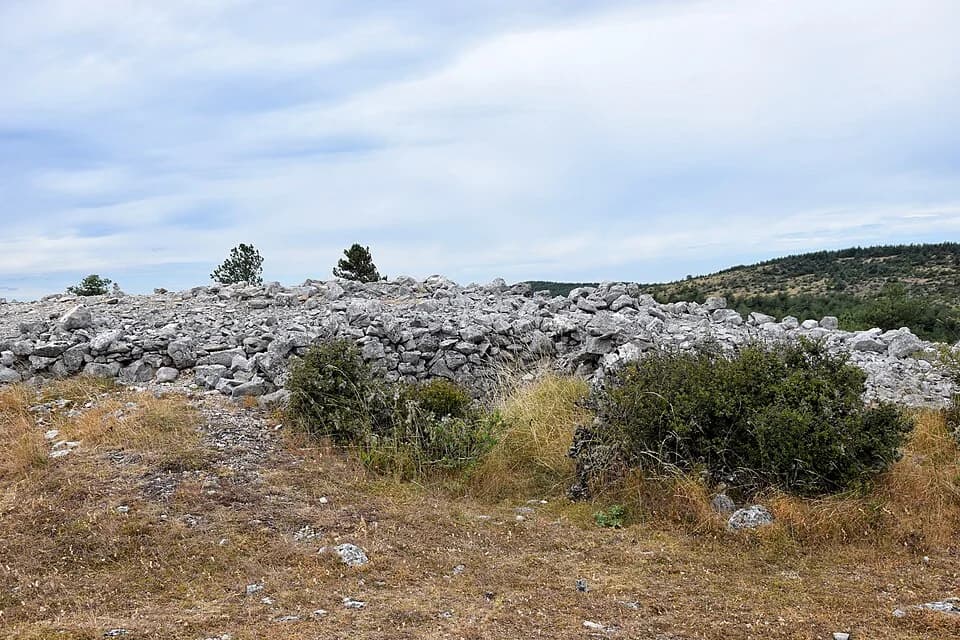 Photo du secteur de « Les trois hameaux du Méjean » : L’enceinte protohistorique de la Rode.jpg