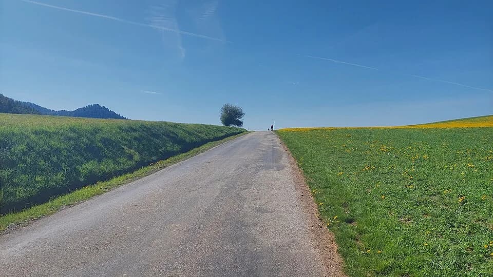 Vue du secteur du départ de « Croix Saint-Philippe » : 20260525 095608 HDR.jpg